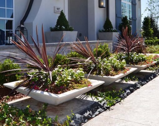 Custom Landscaping Trends in Dallas