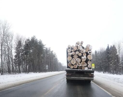 What to Expect After Being Involved in a Log Truck Accident