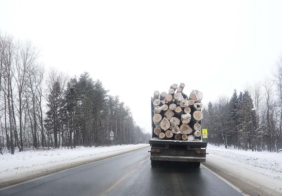 What to Expect After Being Involved in a Log Truck Accident