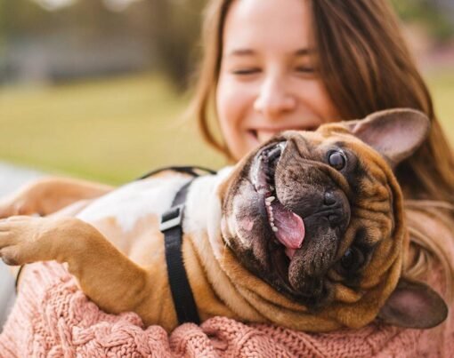 8 Care Tips for New Pet Owners