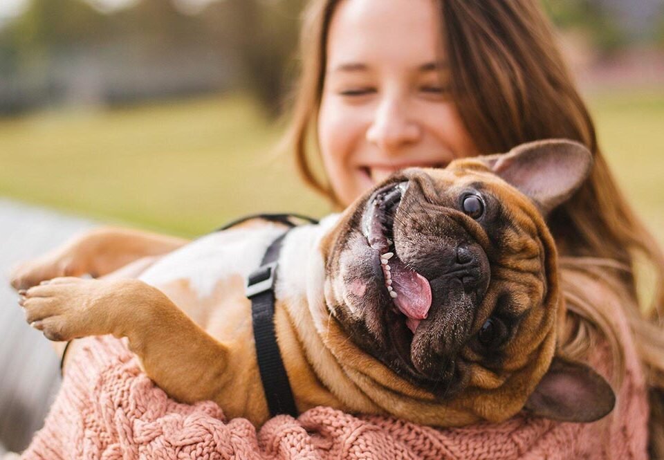 8 Care Tips for New Pet Owners