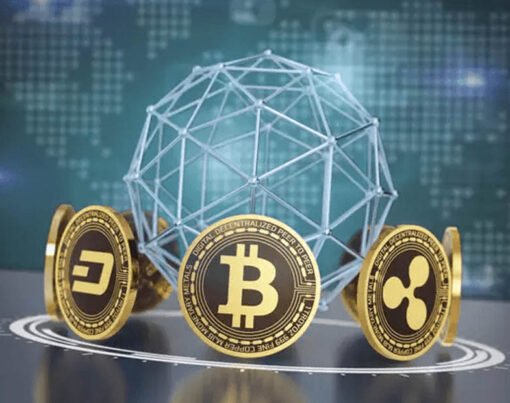 Chronicles of a Digital Currency