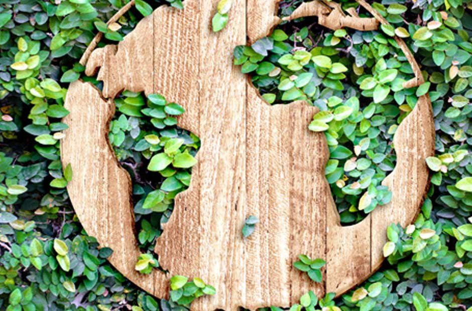 The Sustainability Aspect of Woodworking