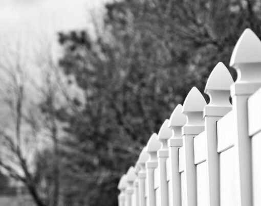 4 Reasons Why Cedar Fencing Is the Top Choice for Privacy and Security