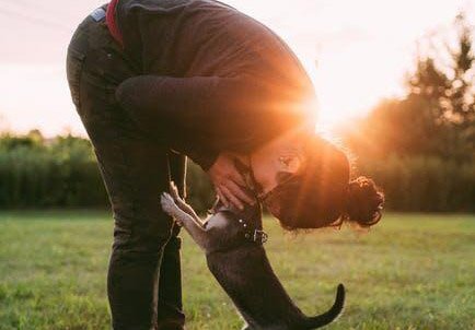 6 Best Dog Breeds for Emotional Support: A Comprehensive Guide - Xivents