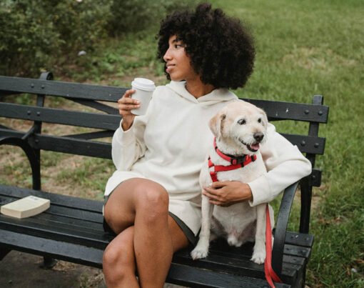 Getting an Emotional Support Animal