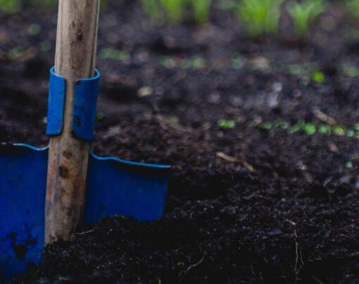 The Importance of a Gardening Tools Set for Your Vegetable Garden