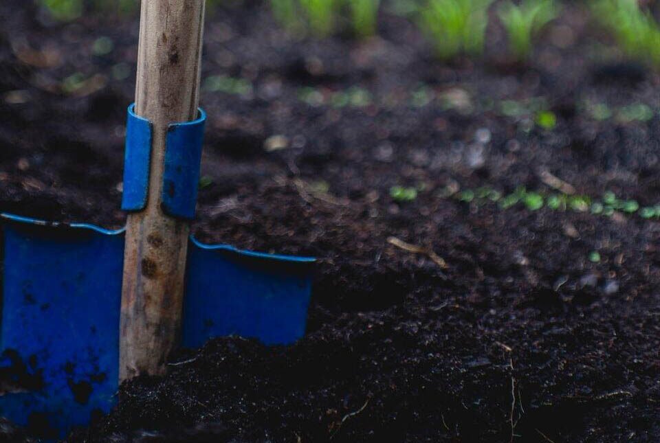 The Importance Of A Gardening Tools Set For Your Vegetable Garden - Xivents