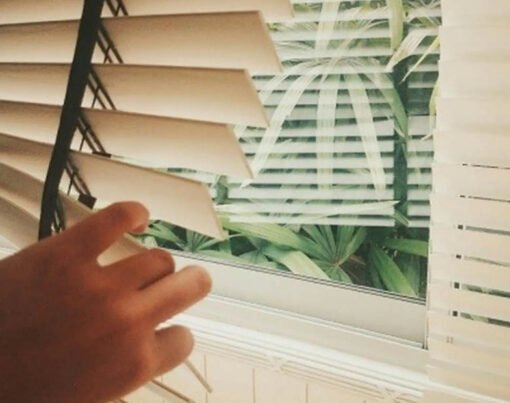 The Reasons To Invest In Window Shades