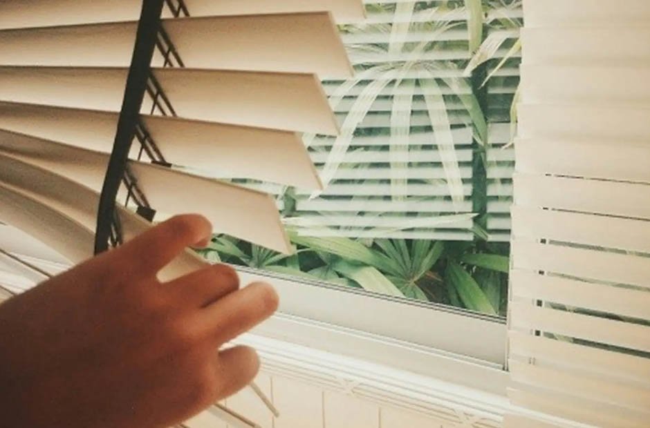 The Reasons To Invest In Window Shades