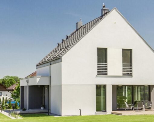 Top 4 Wildlife Animals That Might Break-In in Your Large Backyard