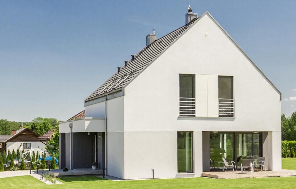 Top 4 Wildlife Animals That Might Break-In in Your Large Backyard