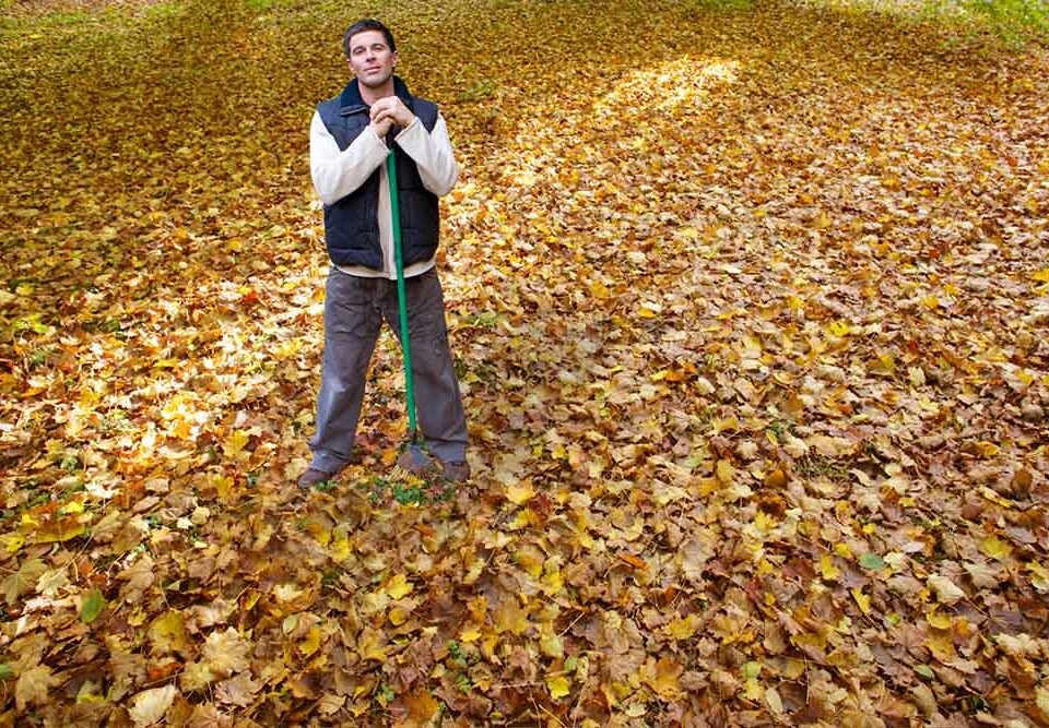 Why Professional Leaf Removal Services are Worth the Investment