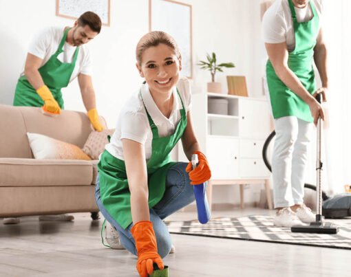 Professional Cleaner