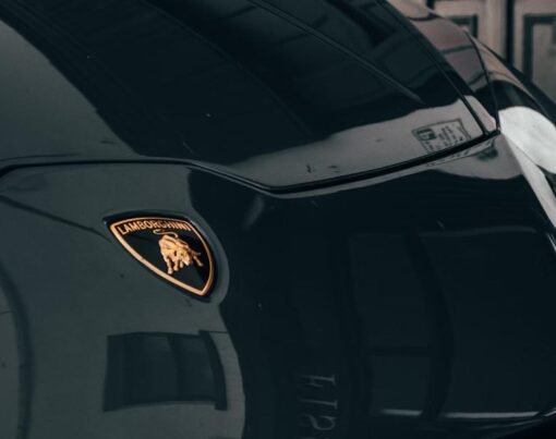 Experiencing the Thrill of Exotic Cars