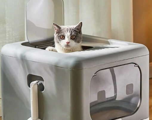 Litter Box for Your Large Cat