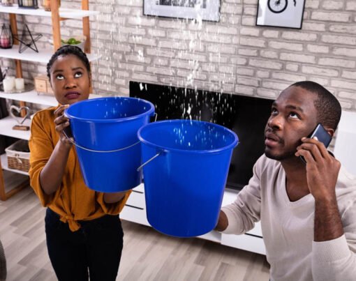 Navigating Water Restoration Companies