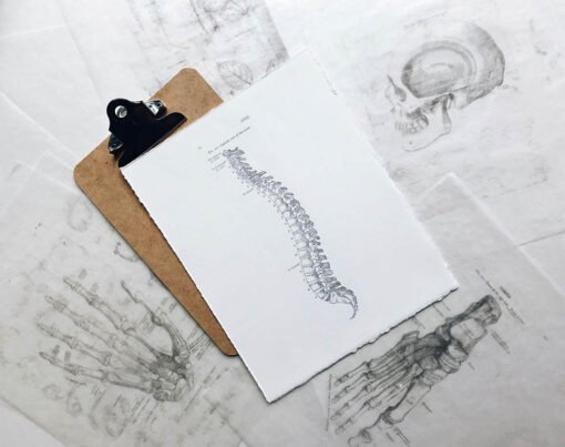 Tips for Keeping Your Back Strong and Healthy