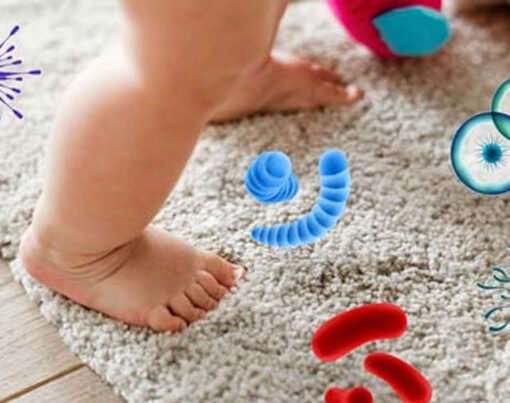 How-to-Keep-Carpets-Free-from-Bacteria