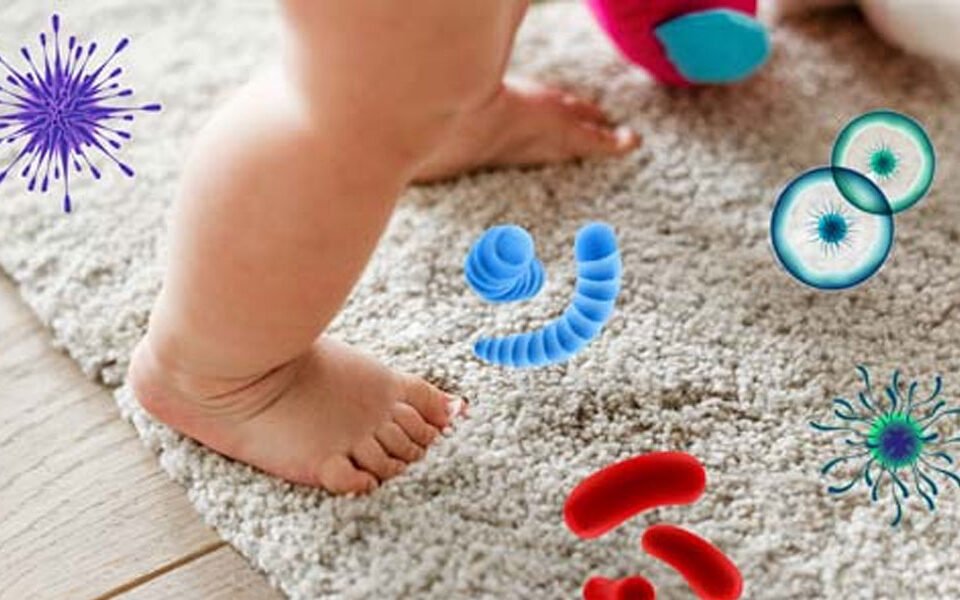 How-to-Keep-Carpets-Free-from-Bacteria