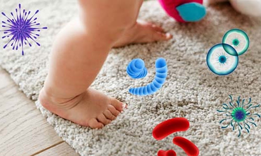 How to Keep Carpets Free from Bacteria - Xivents